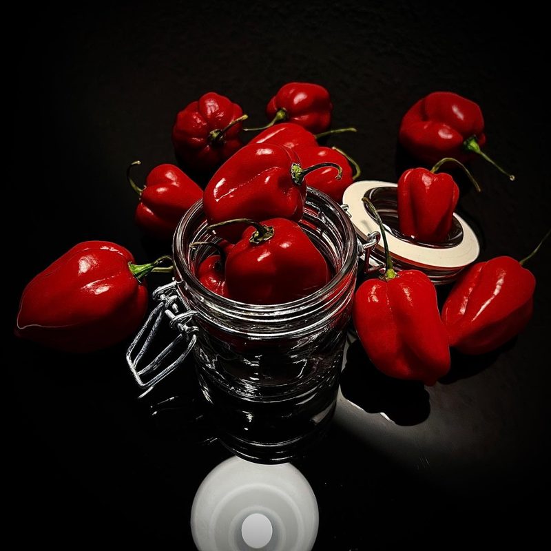 Offenes Glas voller Habanero-Chilis